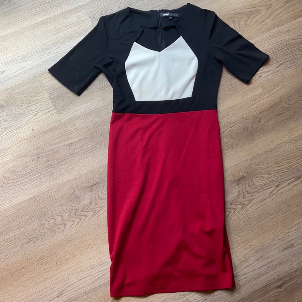 Color block bodycon dress